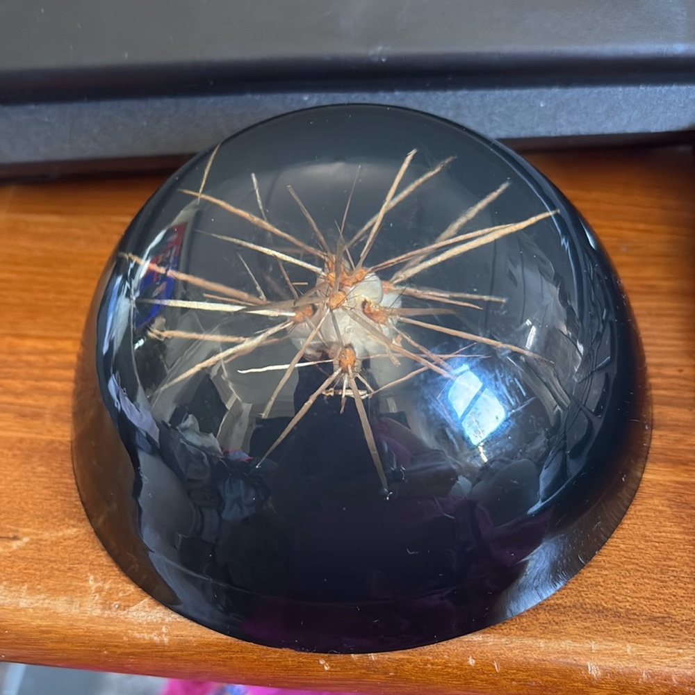 Vintage Lucite Cactus Paperweight